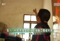 吴川最新爆料新闻,揭秘某事件背后惊人真相